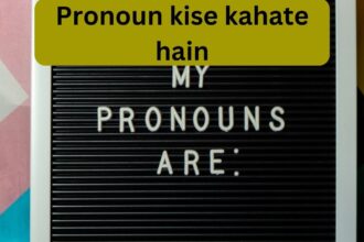 Pronoun kise kahate hain